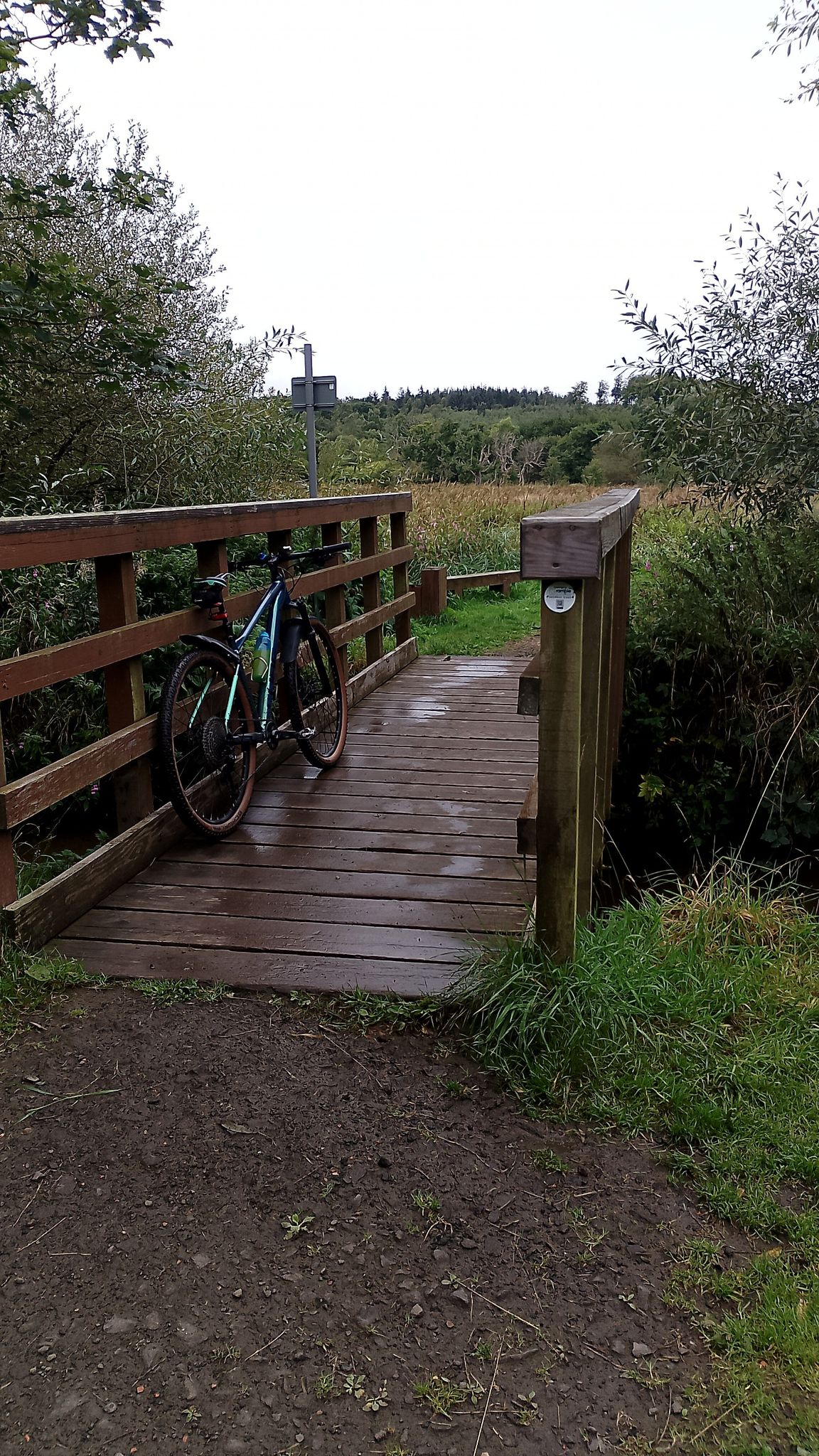 Bridge over Bluther burn on track heading to Balgownie woodland.
