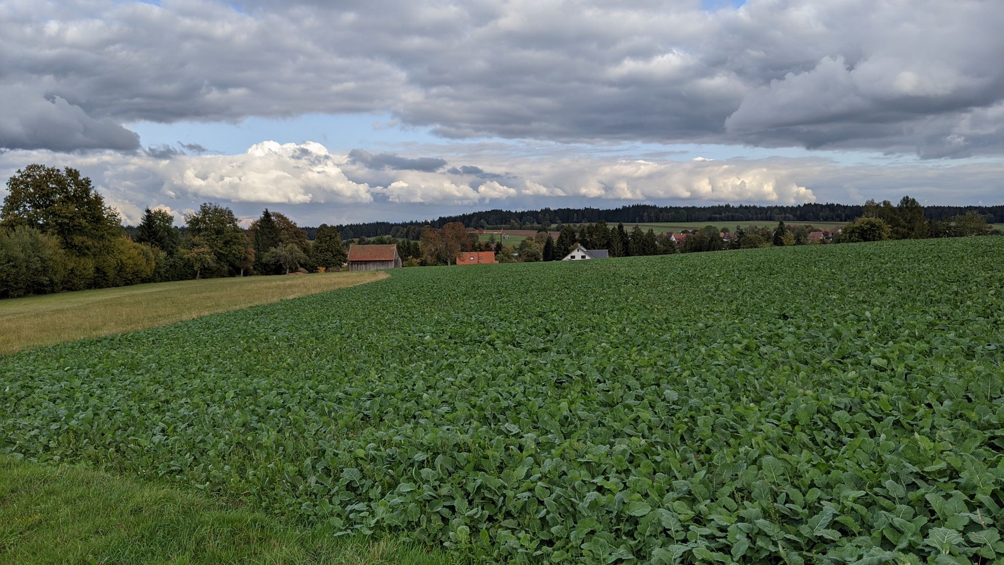 Hinter Naislach