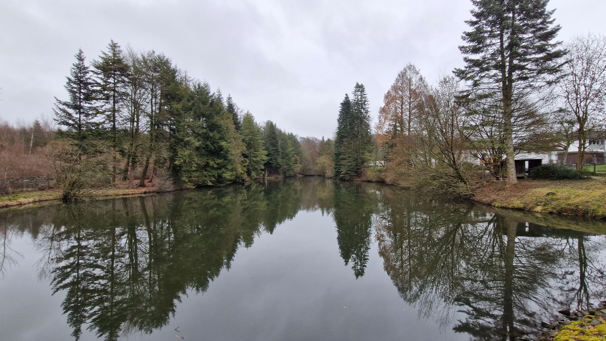 Bürgerbusch