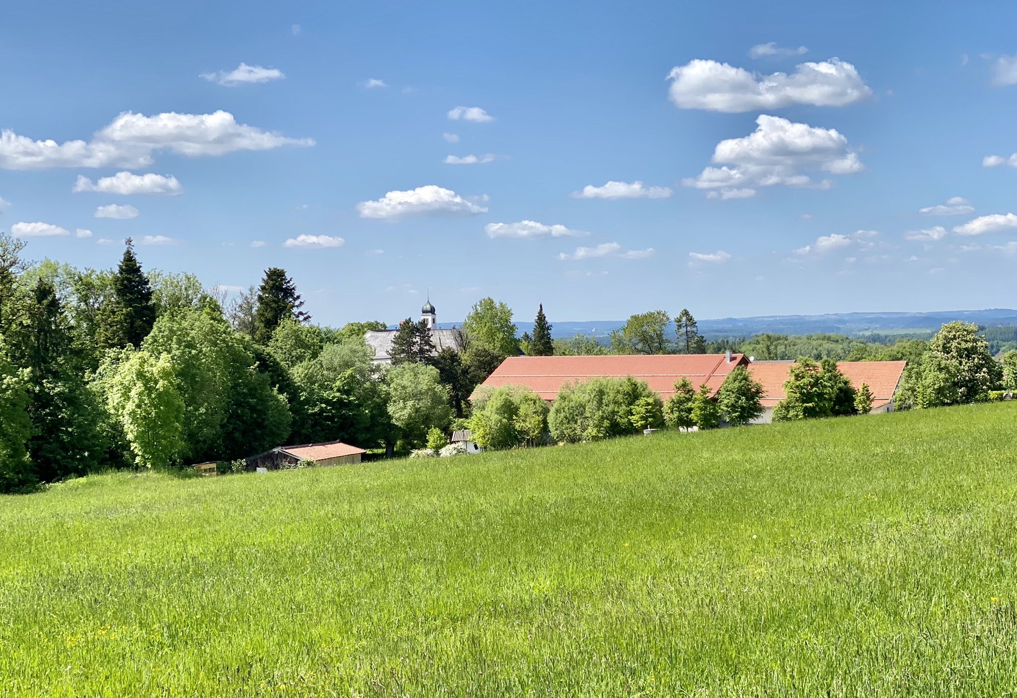 Blick zum Ameranger Schloss