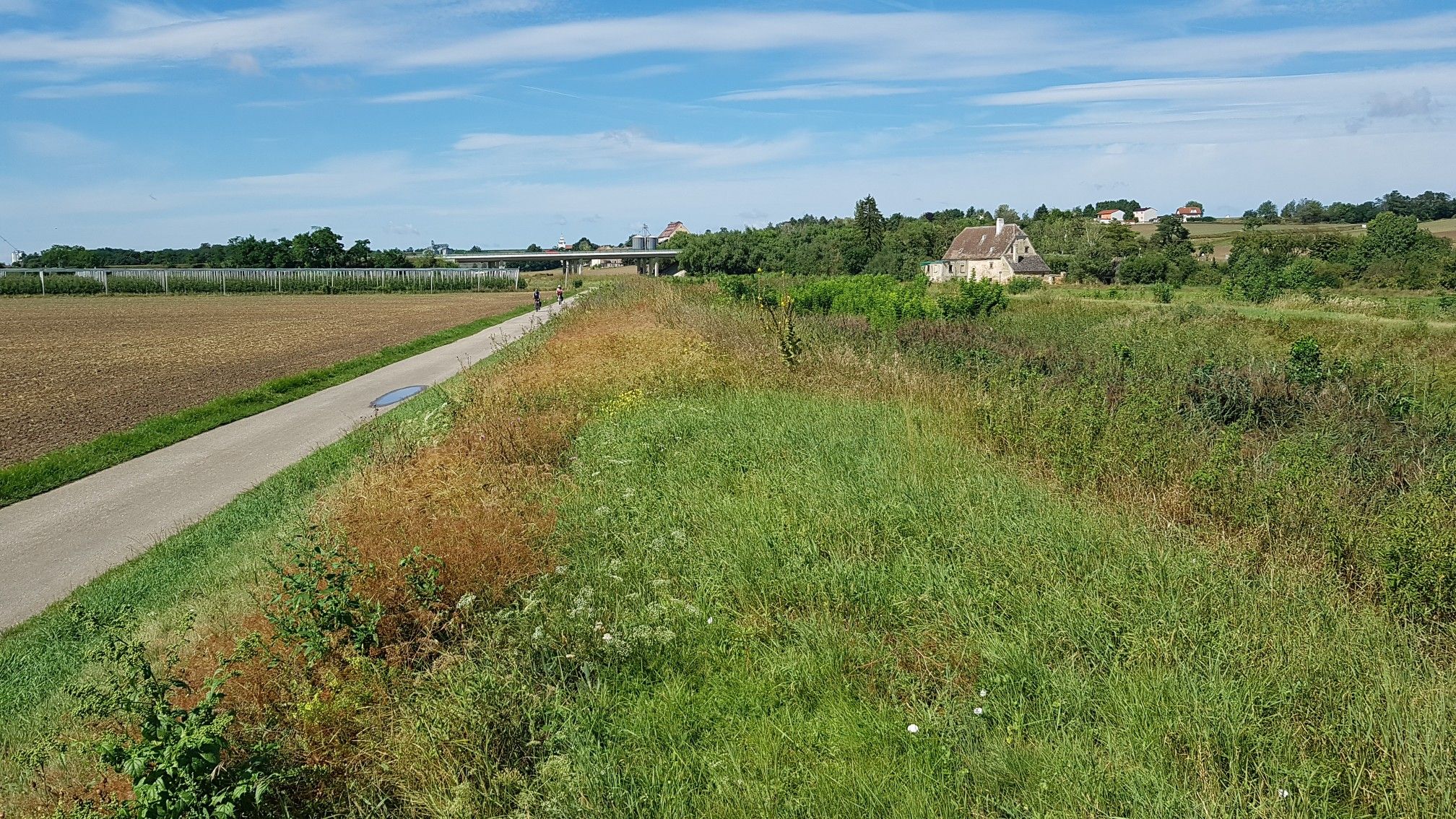 Blick Richtung "Häringmühle"