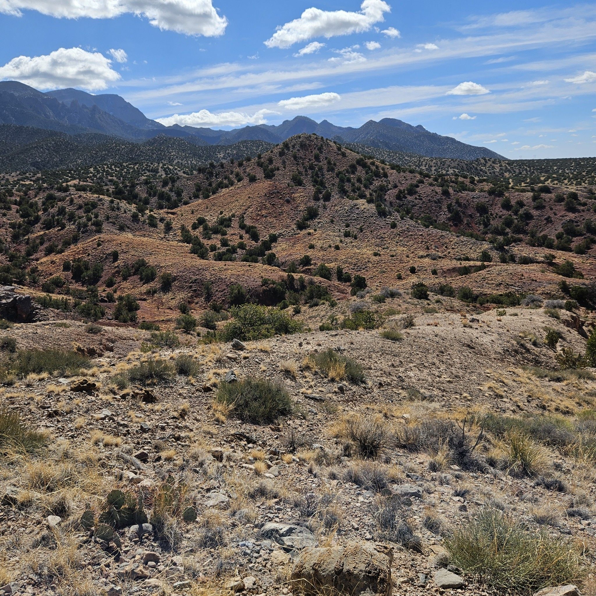 Arid, hilly landscape with sparse green shrubs under a bright, cloudy sky. - View of Red Hill loop from Placitas Trail Head