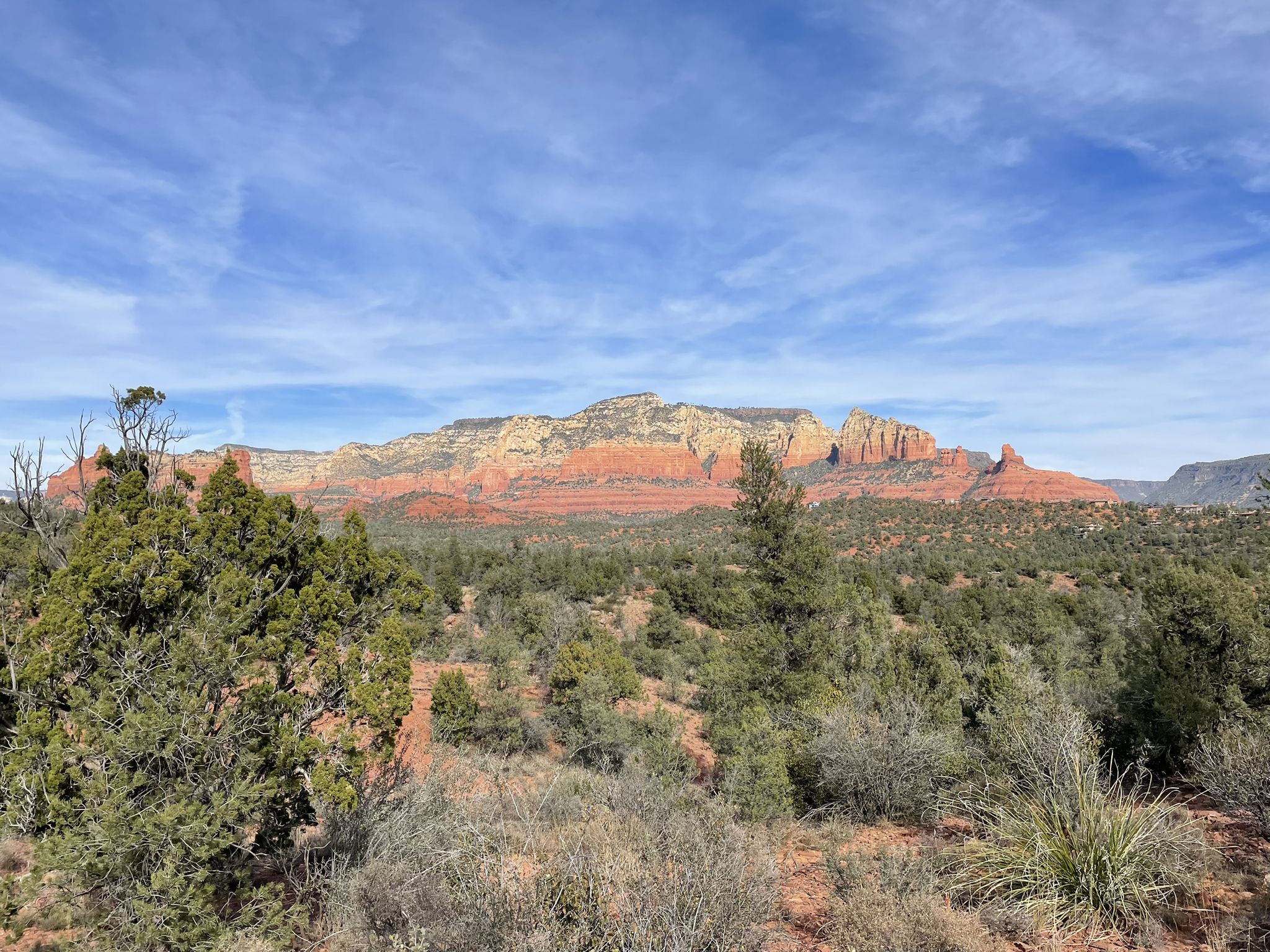 Expansive desert landscape with green shrubs and layered red rock mountains under blue sky. - Adobe Jack, Coyote, and Crusty Loop