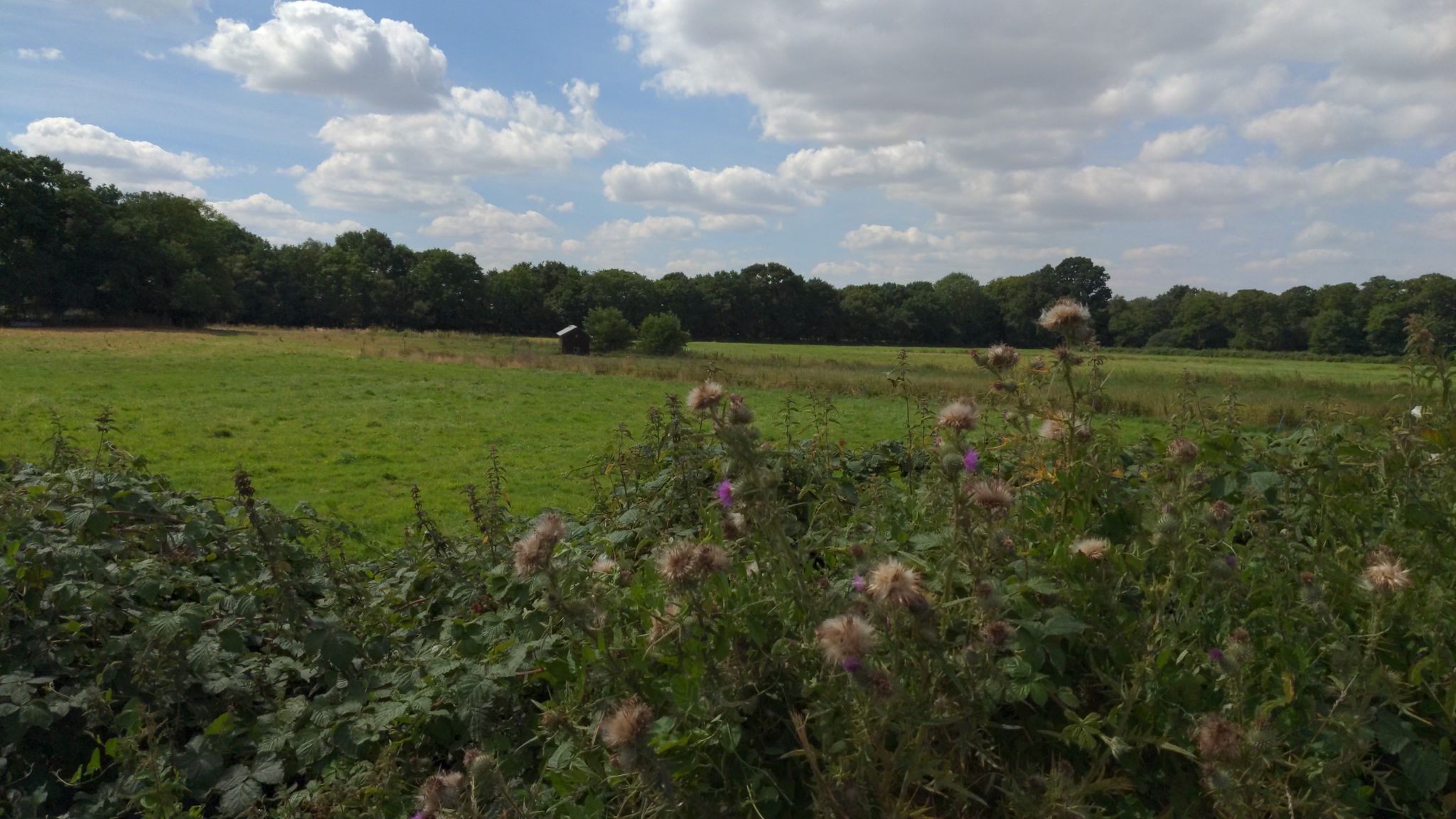 along the Weavers way
