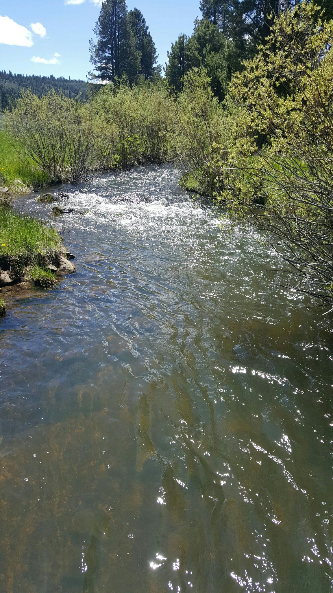 river crossing