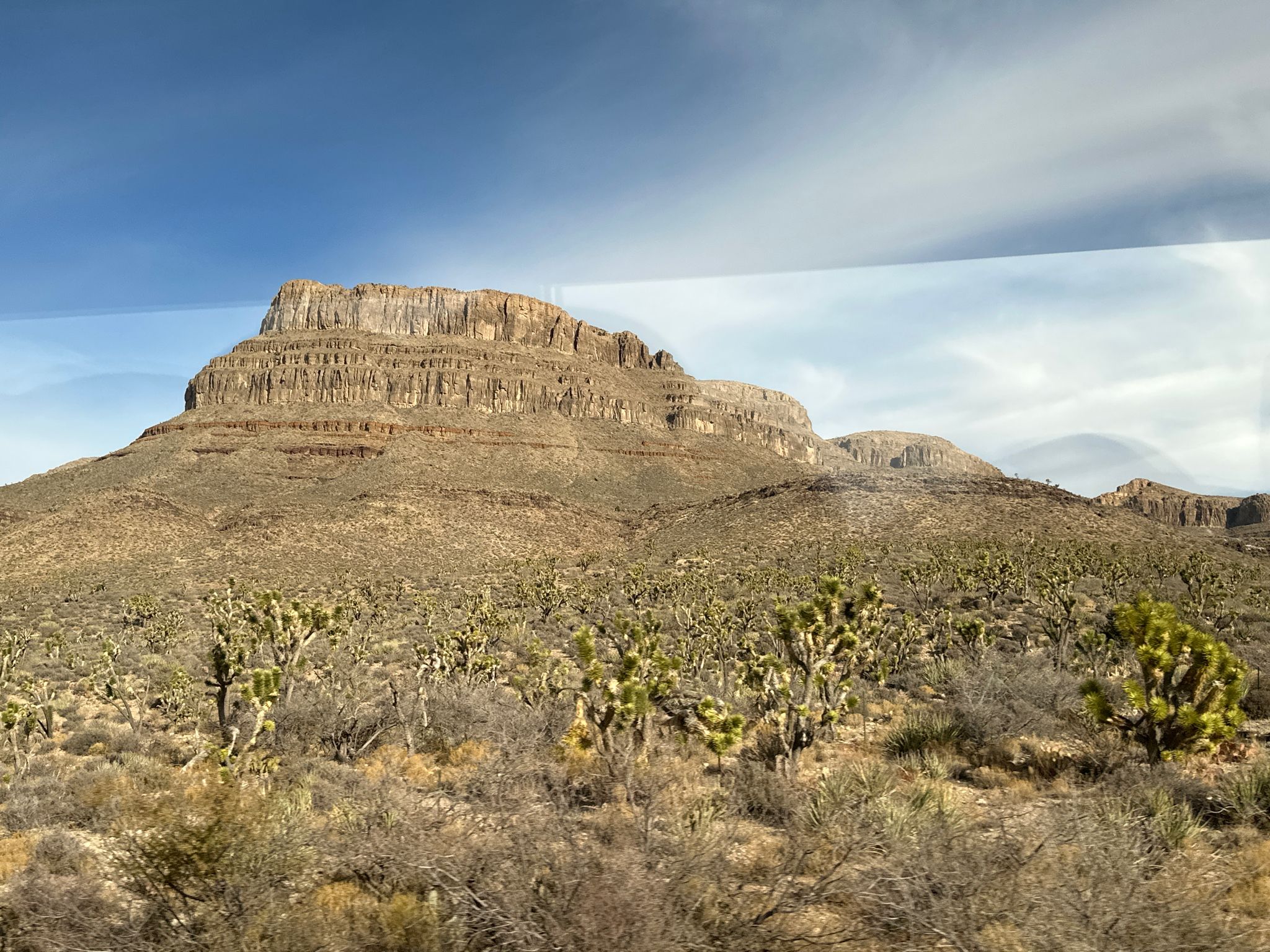 Desert landscape with a large flat-topped mountain and Joshua trees under a partly cloudy sky. - Arizona Joshua Tree Forest to Grand Canyon West
