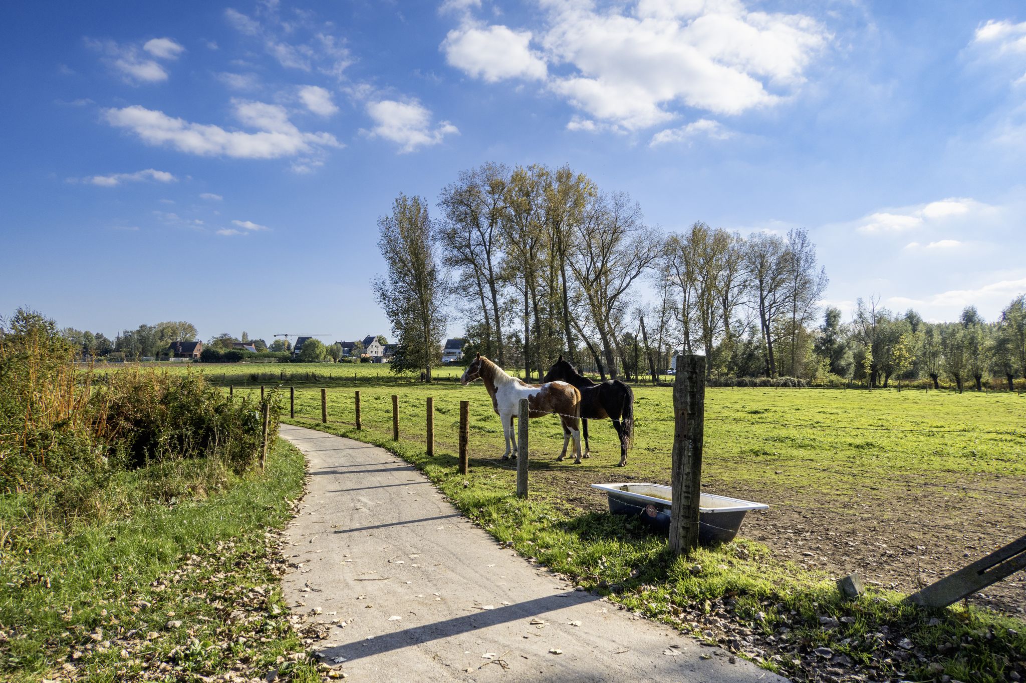 Langs paardenweiden bij Wanzele