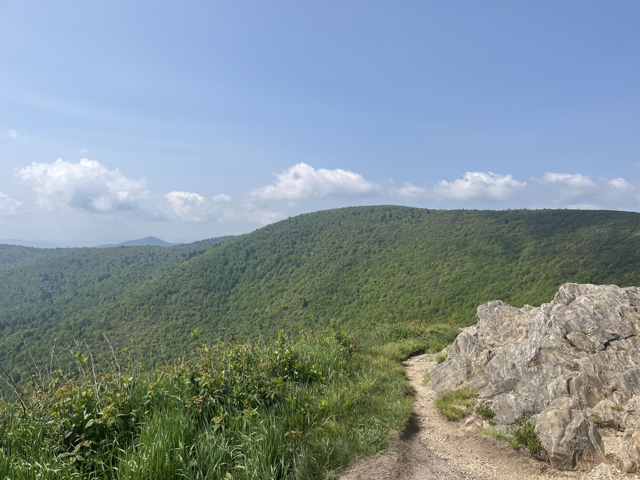 Rocky path beside a grassy hill with distant green mountains under blue sky. - Black Balsam and Tennent Mountain Loop