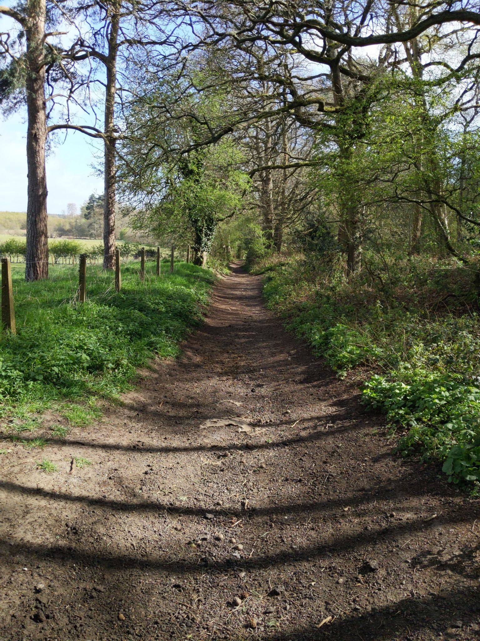 to the heath