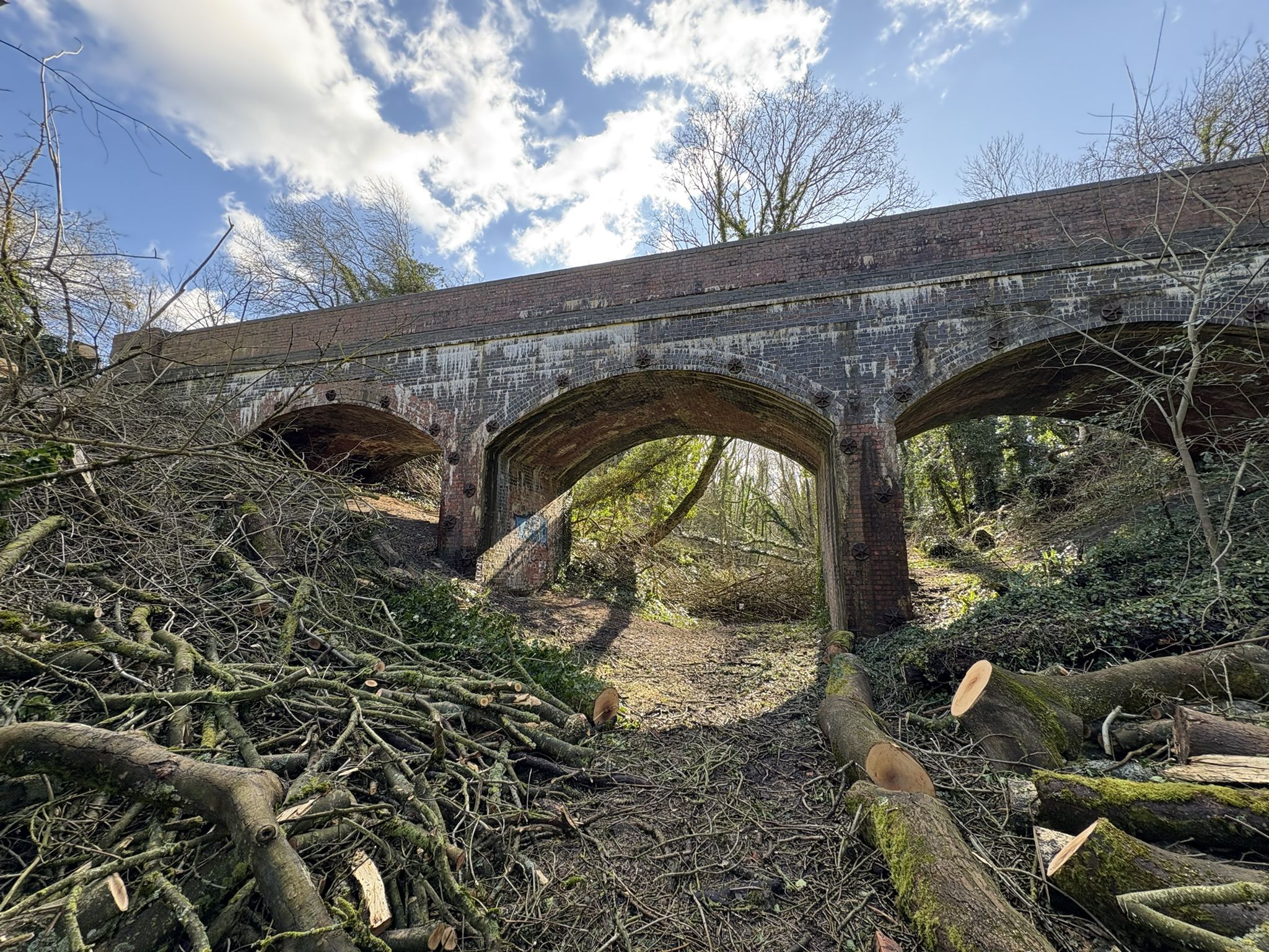 Hook Norton Cutting
