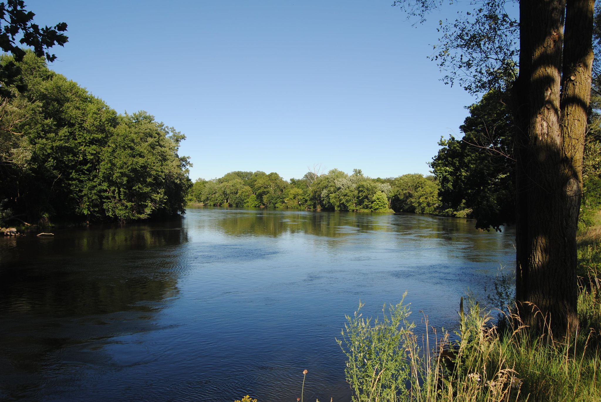 Serene river with lush green trees on banks under a clear, bright blue sky. - St. Joseph River loop from University of Notre Dame du Lac