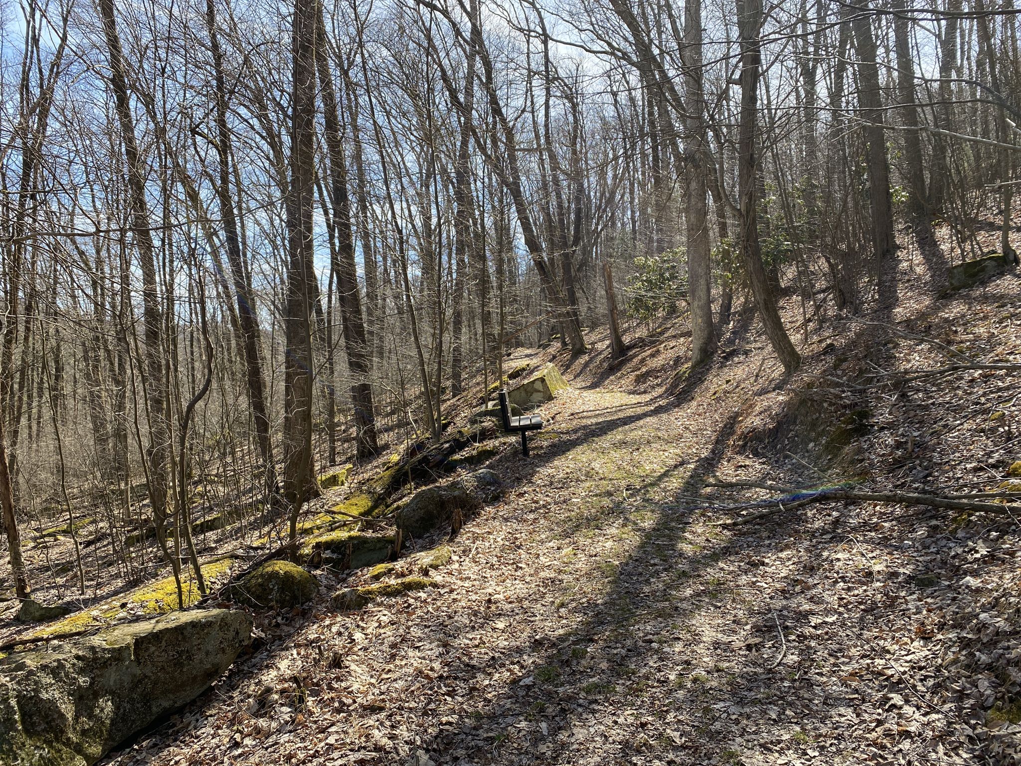 Uphill forest path with mossy rocks, bare trees, and a wooden bench. - Clear Creek State Park loop from Clear Creek State Park