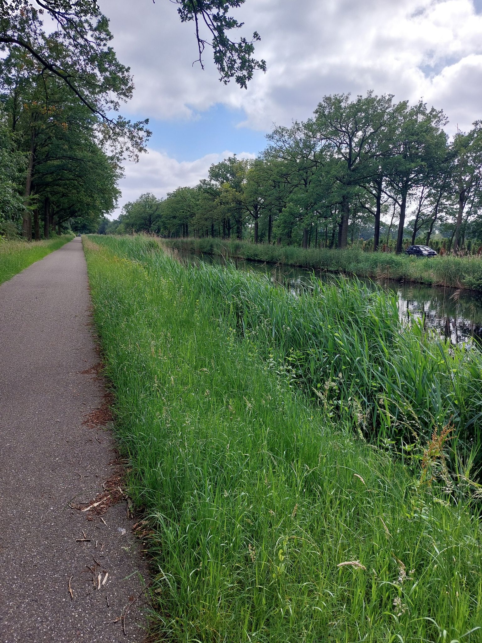 jaagpad langs Apeldoorns kanaal