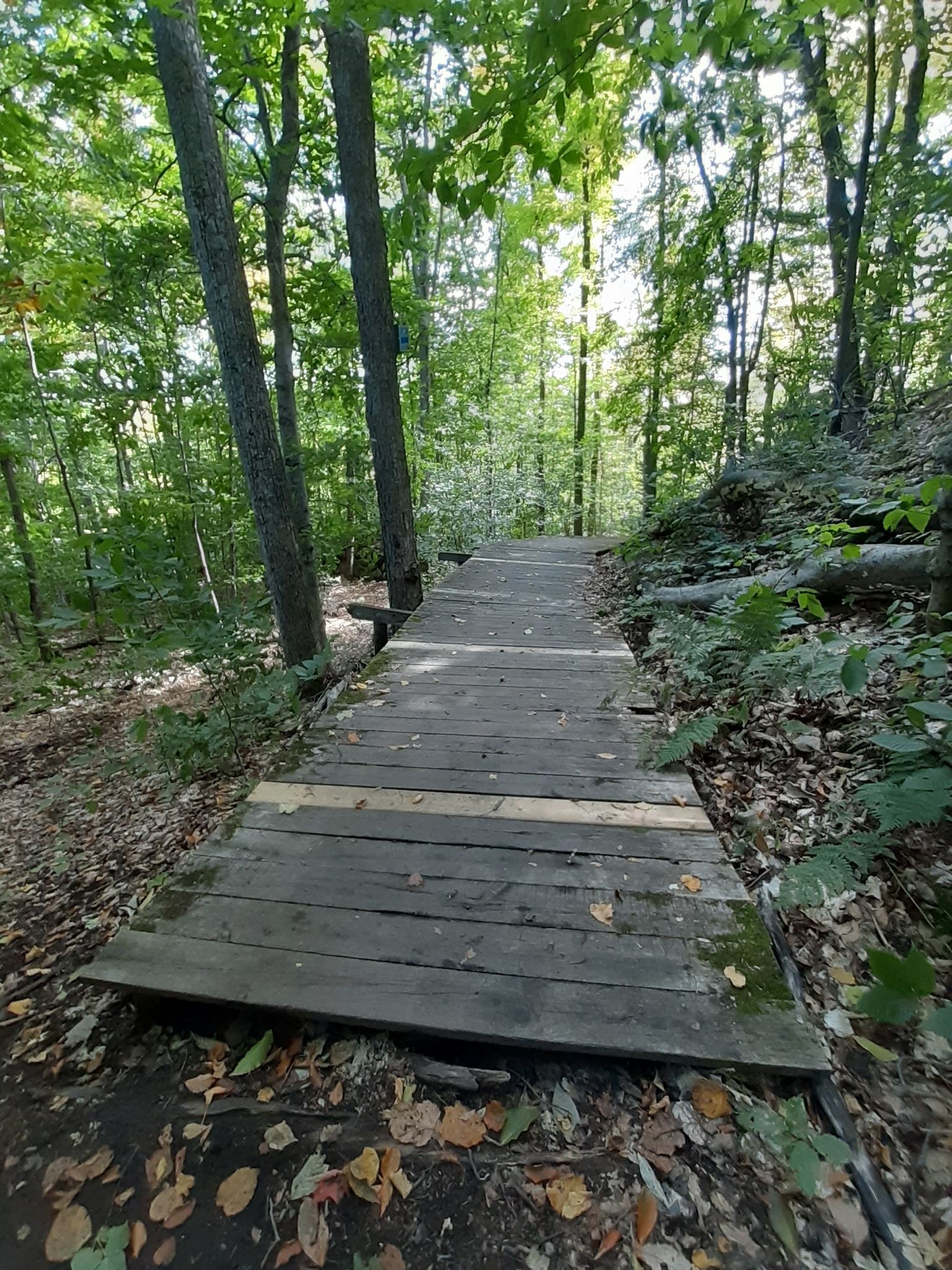 Passerelle