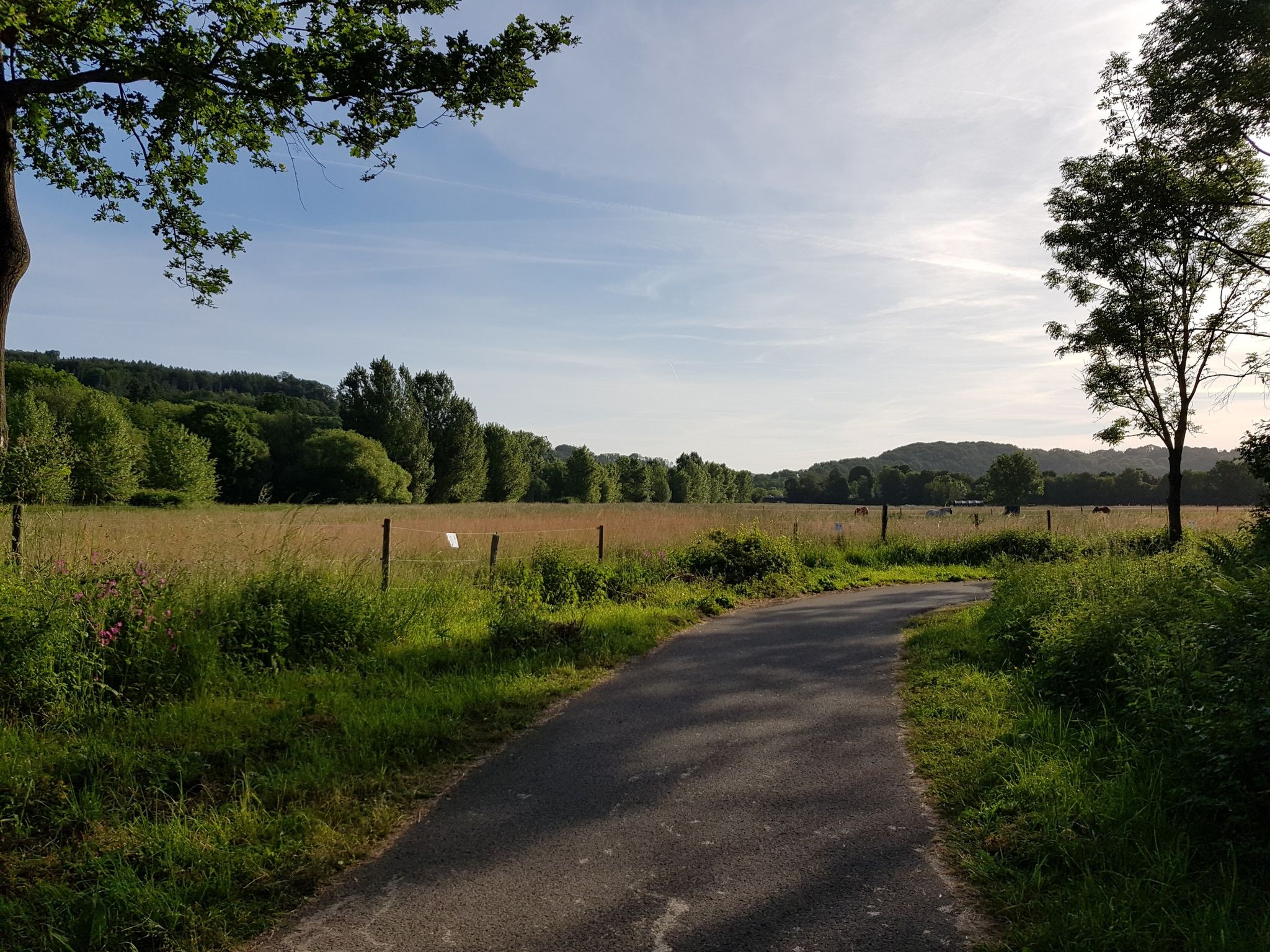 Fahrrad/ Wanderweg
