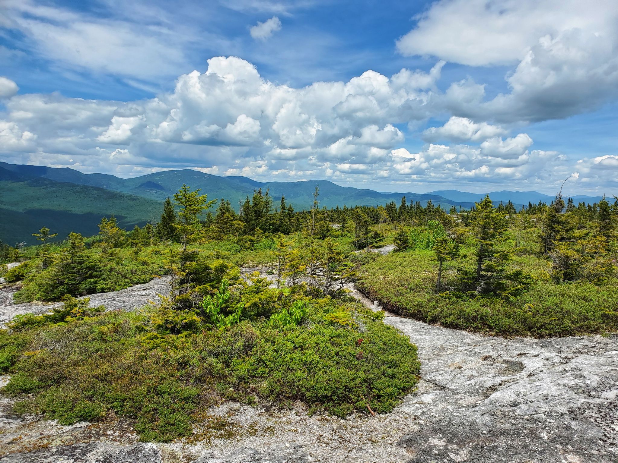 Rocky summit with small trees, overlooking distant green mountains under a blue sky. - Baldface Circle Trail