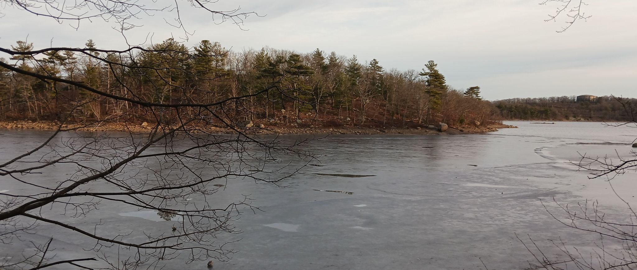 A partially frozen lake with bare branches in the foreground and a forested bank. - Breeds Pond – Serene Riverbank loop from Lynn Woods Reservation