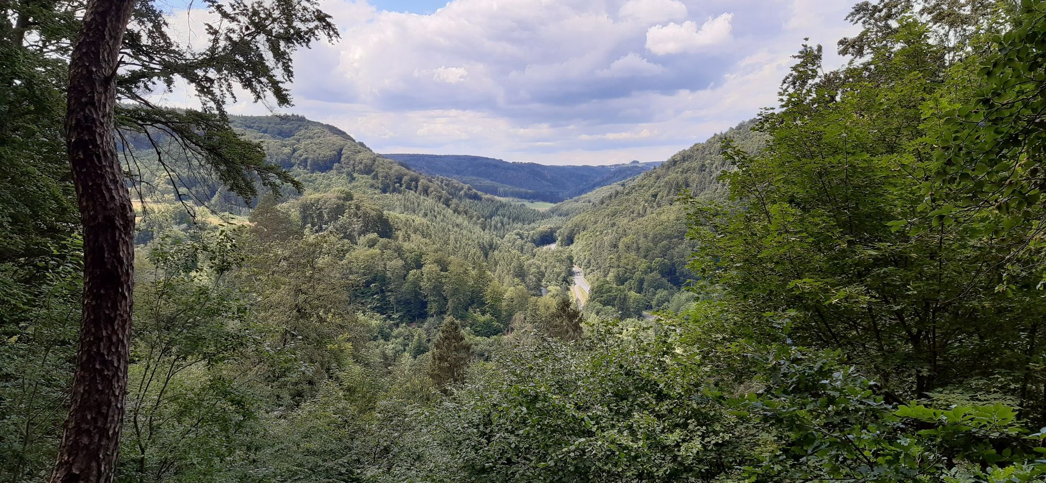 Blick in das Wiedtal