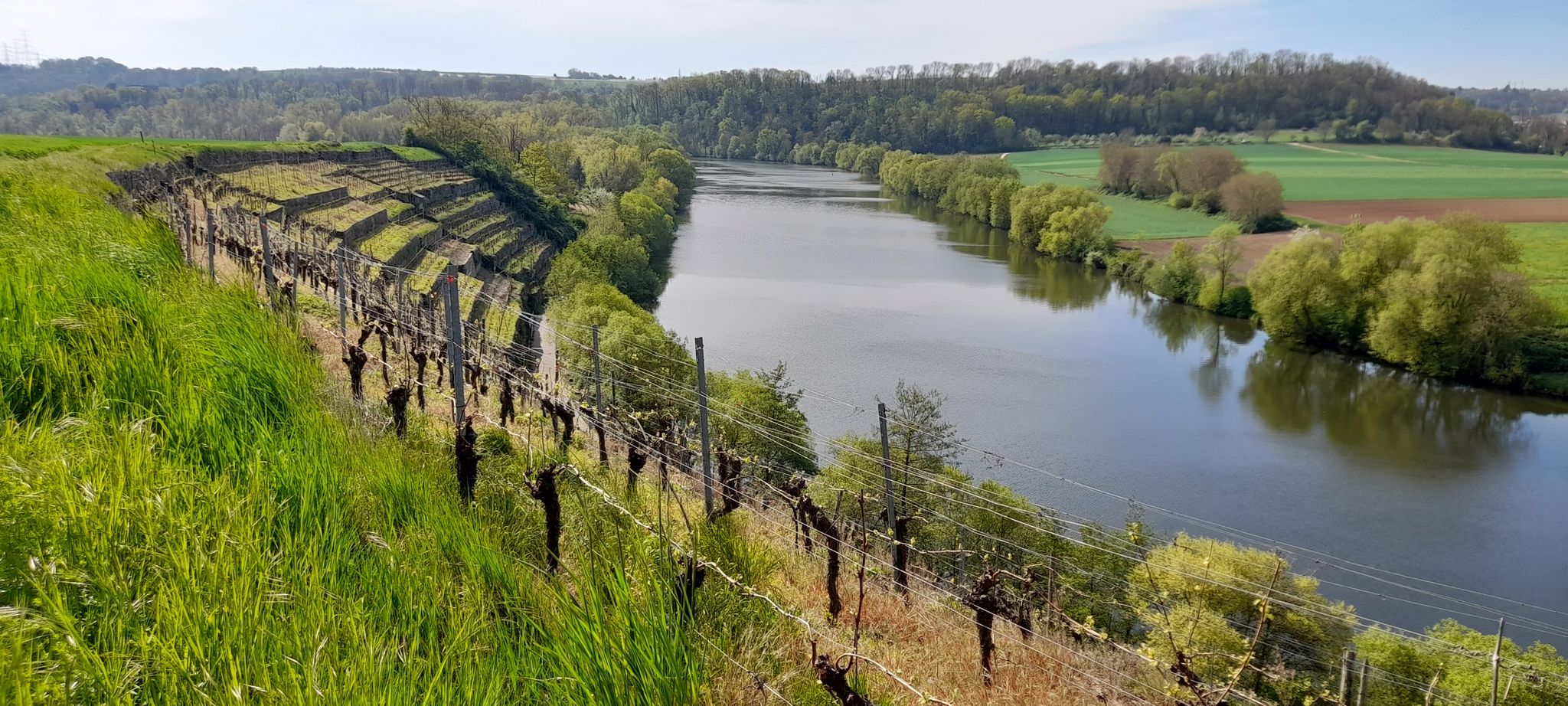 Kapellenbergrunde oberhalb der Neckarschleife von Kirchheim/Neckar