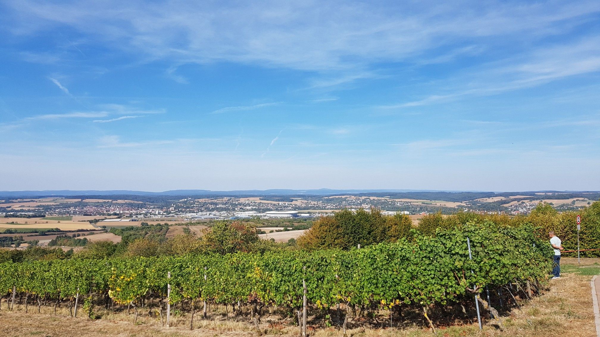 Sinsheim