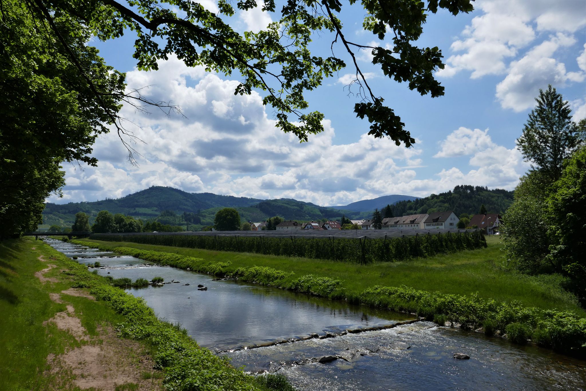 Start an der Rench in Oberkirch