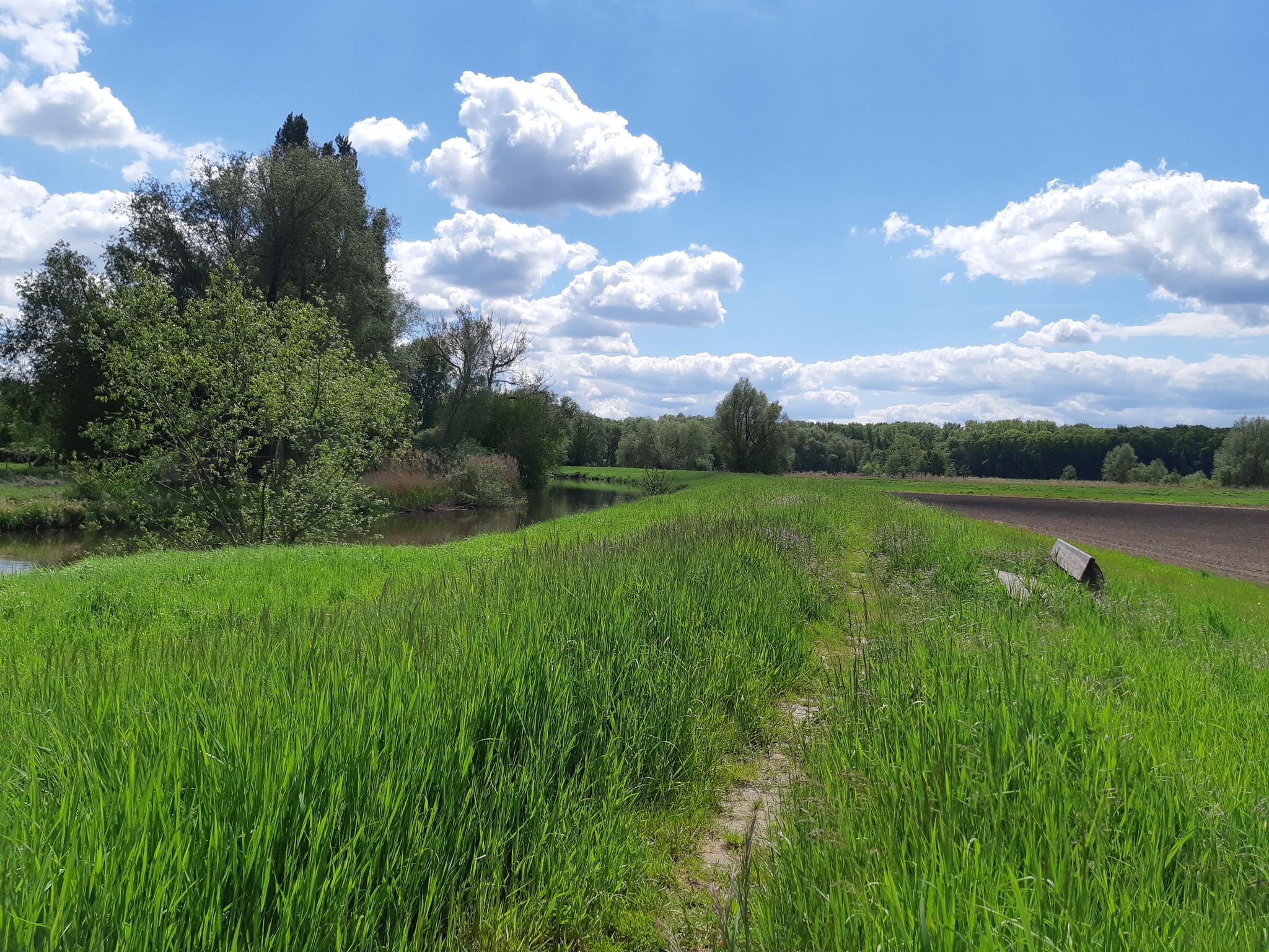 ...an der Bode...