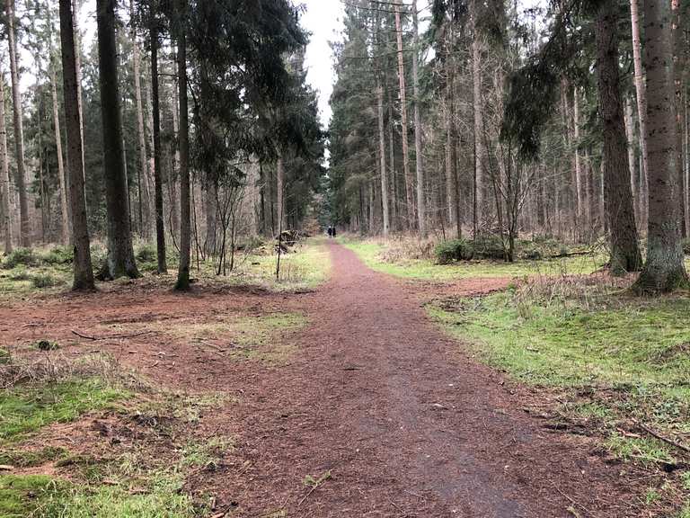 Alsterwanderweg, Poppenbüttler Schleuse, Kupferteich, Wittmoor