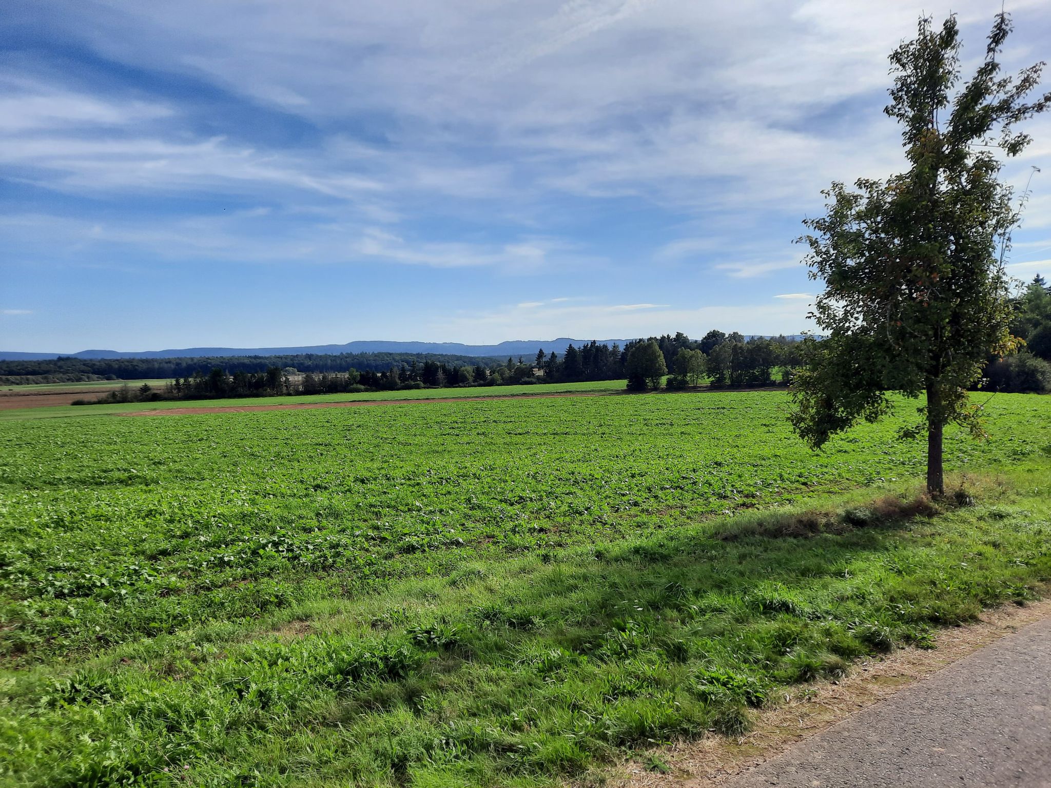 Wiesen und Felder bei Mackenbach