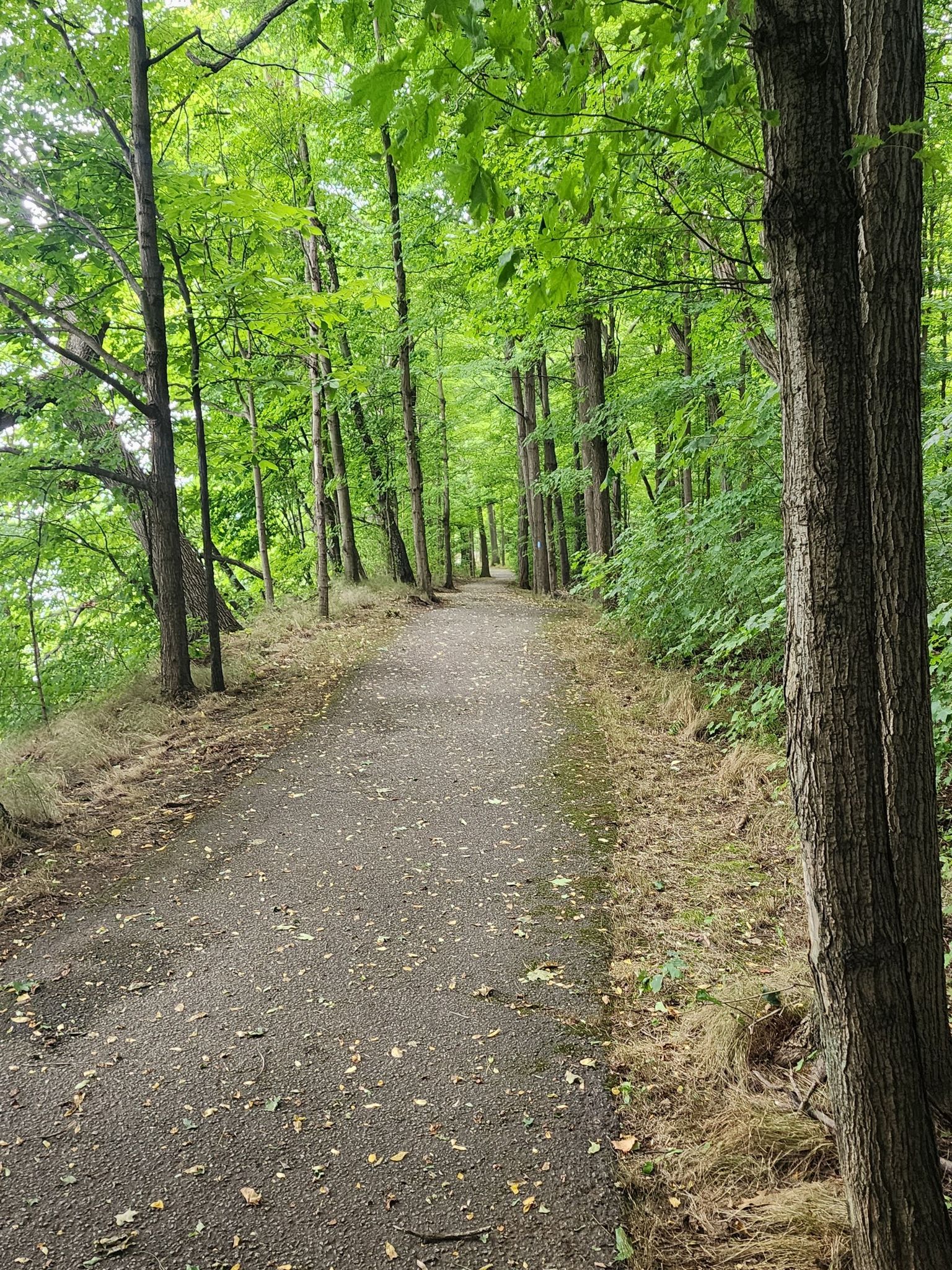 bike therapy