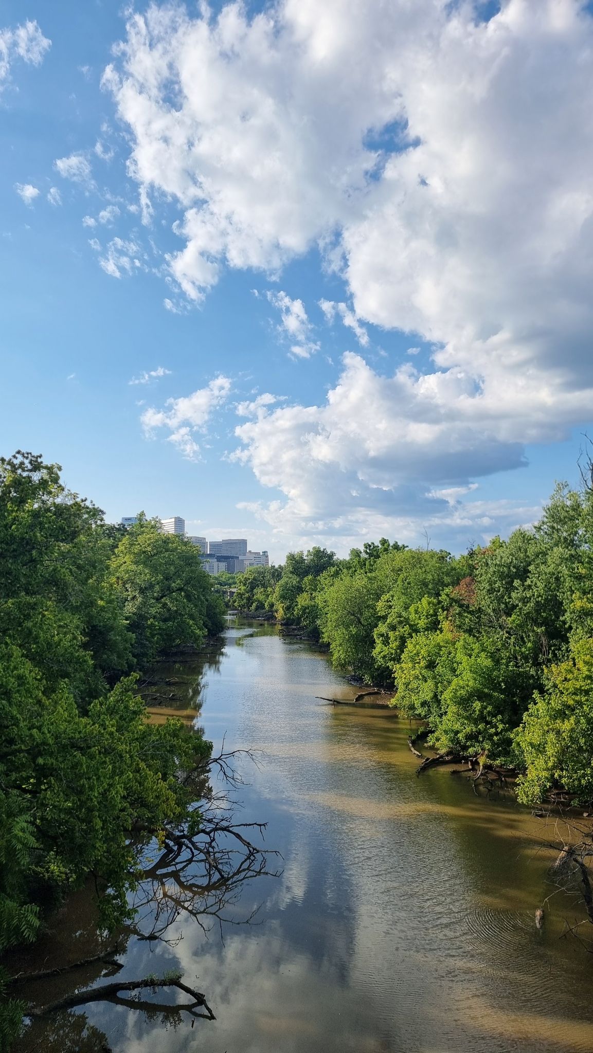 A winding river flows through lush green trees under a cloudy blue sky. - Arlington Cemetery loop