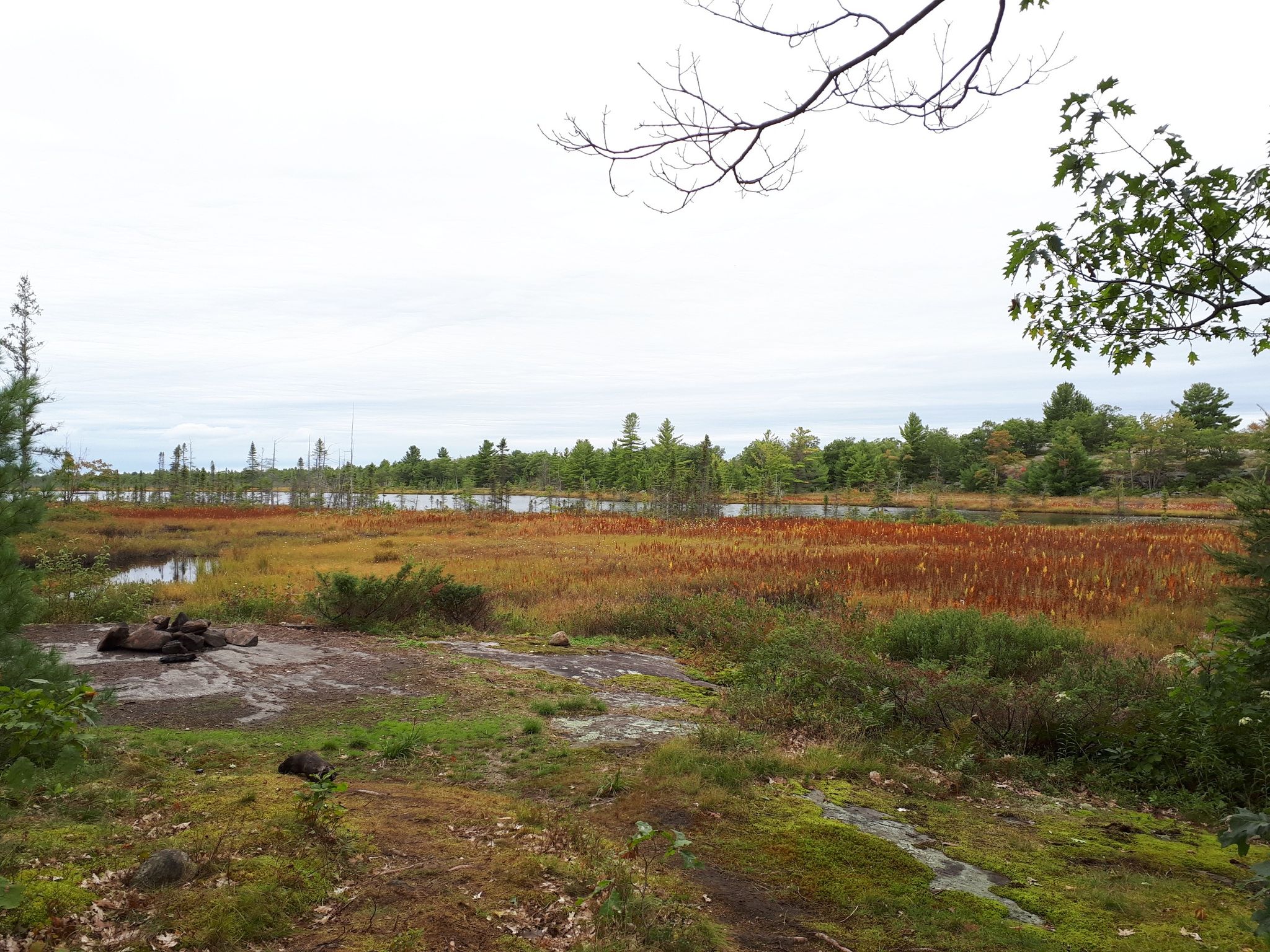 Marshes