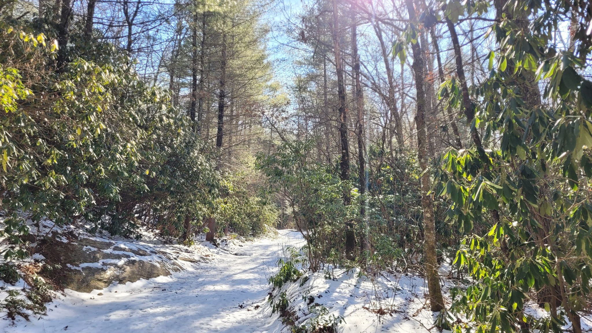 Snow-covered path winding through a sunlit winter forest with green and bare trees. - Burnt Mountain – Burnt Mountain Trail loop from Big Rock