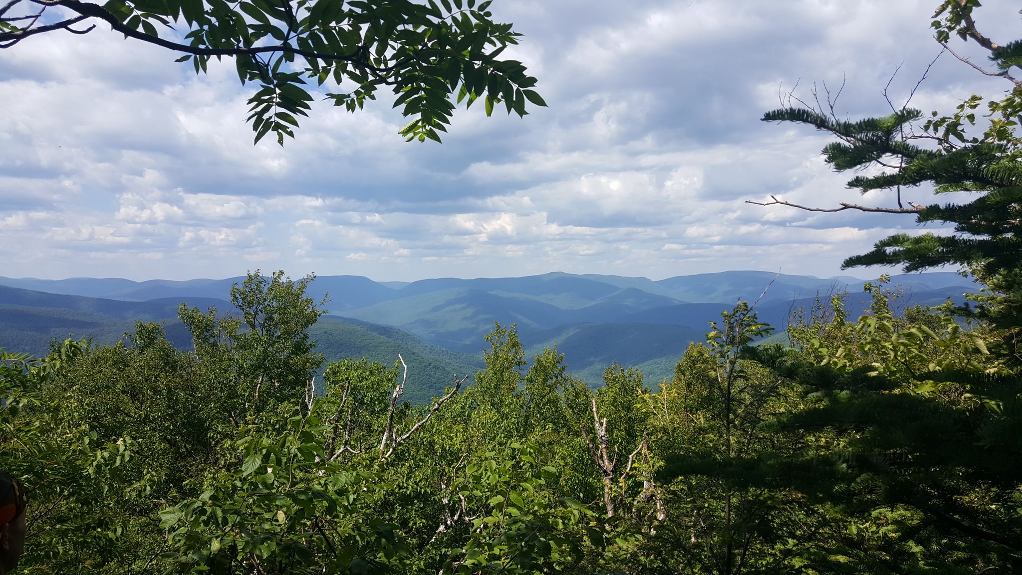 Lush green forested mountains under a cloudy sky, framed by tree branches. - Wittenberg - Cornell - Slide Trail
