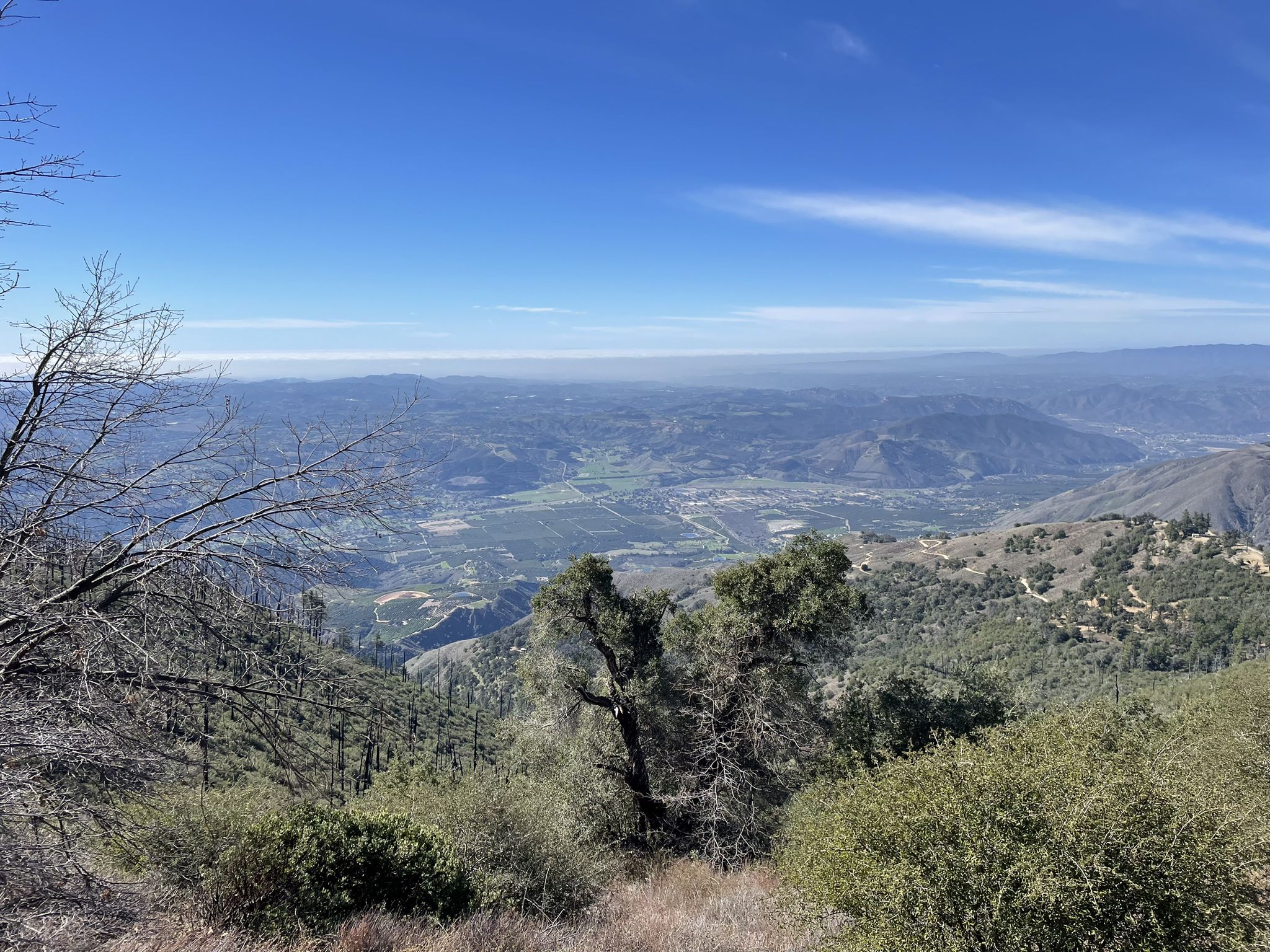 Expansive mountain vista overlooking a green valley under a clear blue sky. - Boucher Trail and Palomar Mountain Loop
