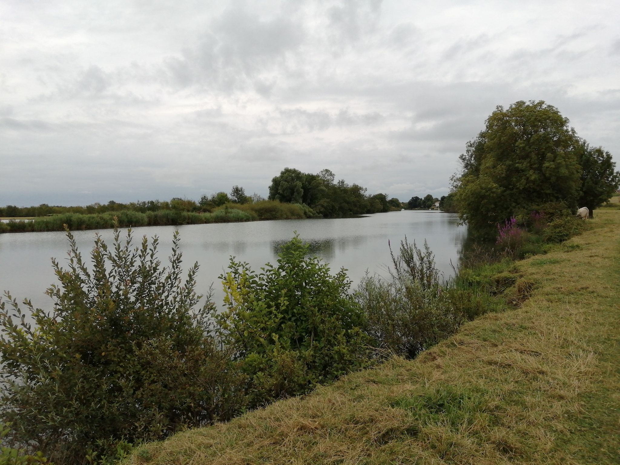 la Charente