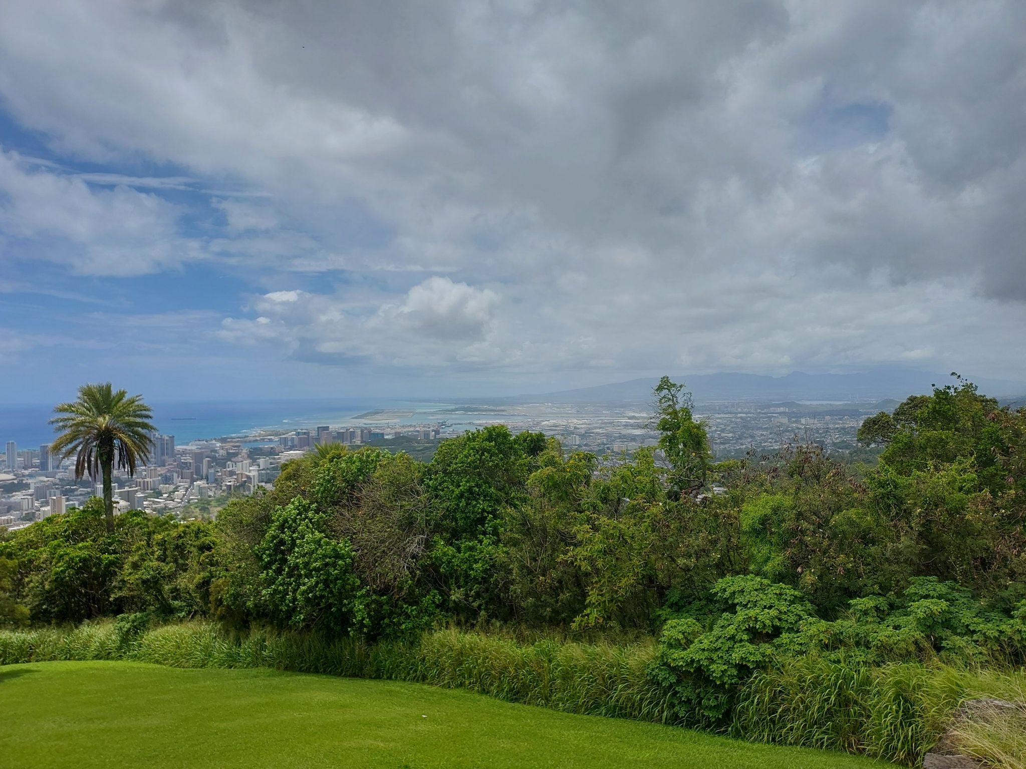 Overlook of a coastal city with a palm tree under a cloudy sky. - Tantalus Drive – Tantalus Lookout loop from Kahauiki / Middle Street–Kalihi Transit Center