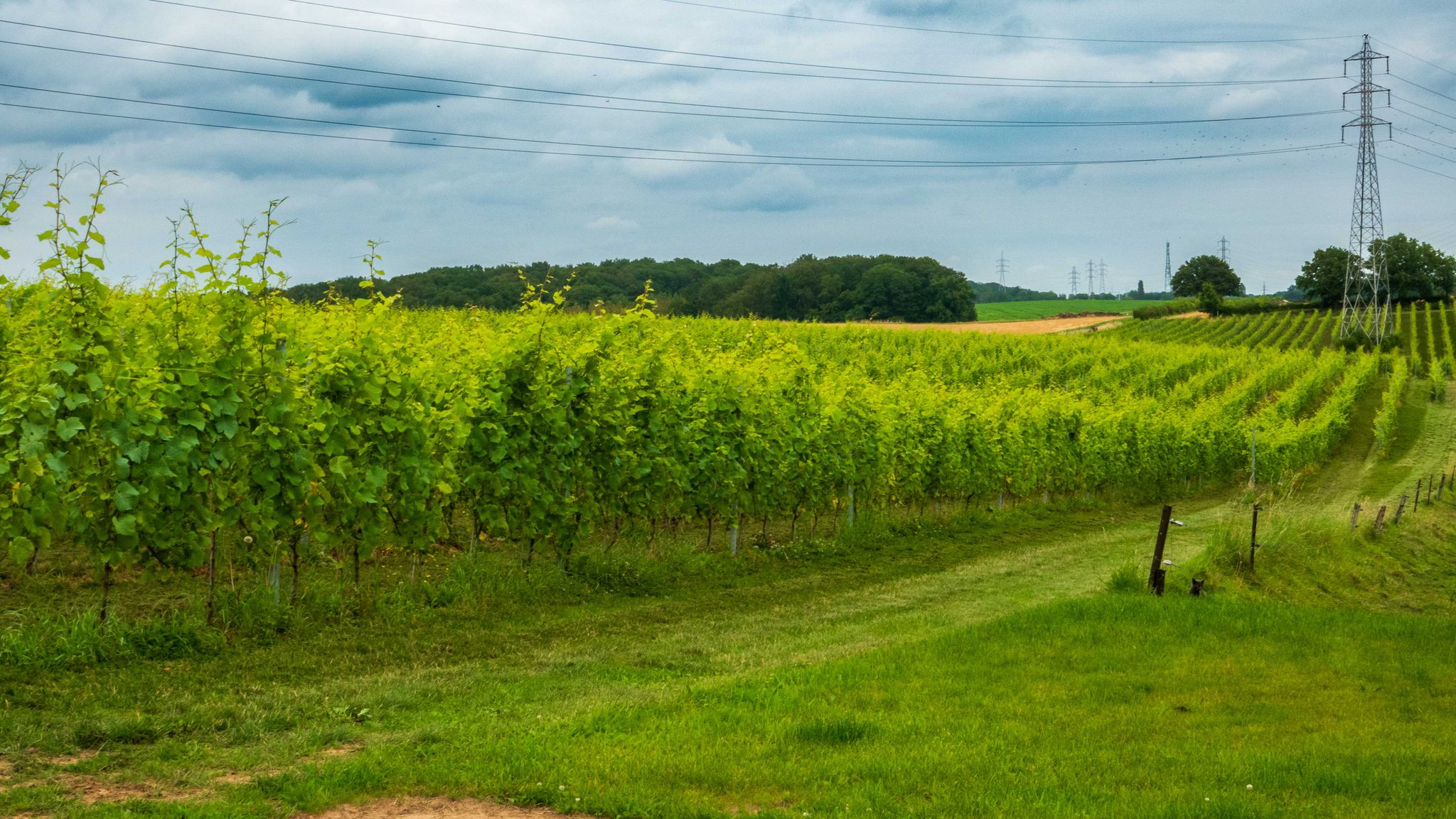 Domaine de Glabais