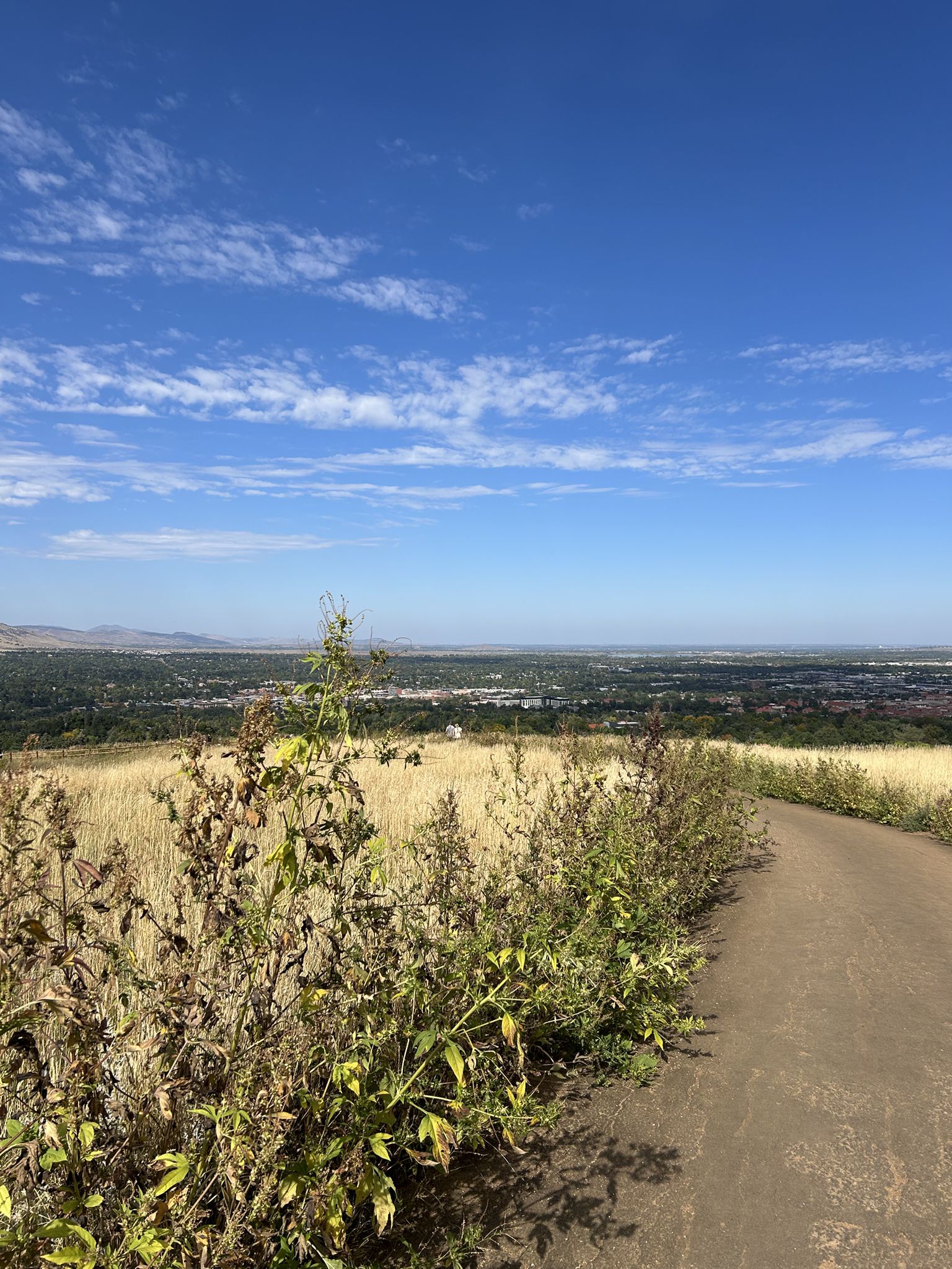 Dirt path through a golden grassy field with a distant city under a blue sky. - Enchanted Mesa, Bluebell Spur, and Chautauqua Loop