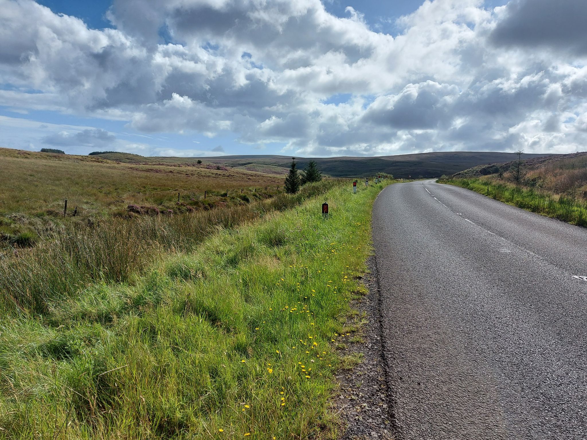 Heather covered hills
