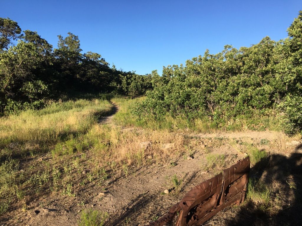 Left to complete the loop.  Right to go up on the Great Western Trail.