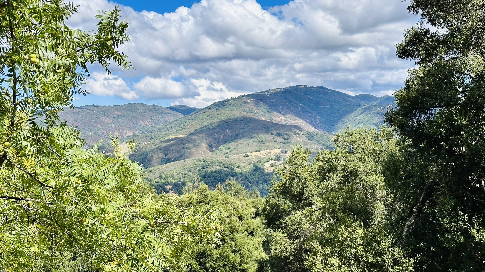 Green mountains under a cloudy blue sky, framed by lush trees. - Madrone Knoll Loop