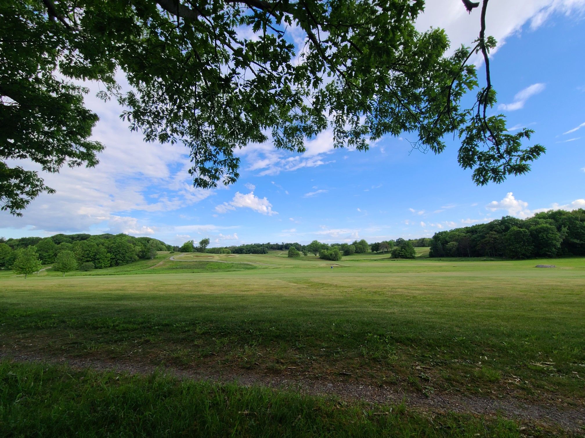 Expansive green field under a bright blue sky with scattered clouds. - Franklin Park
