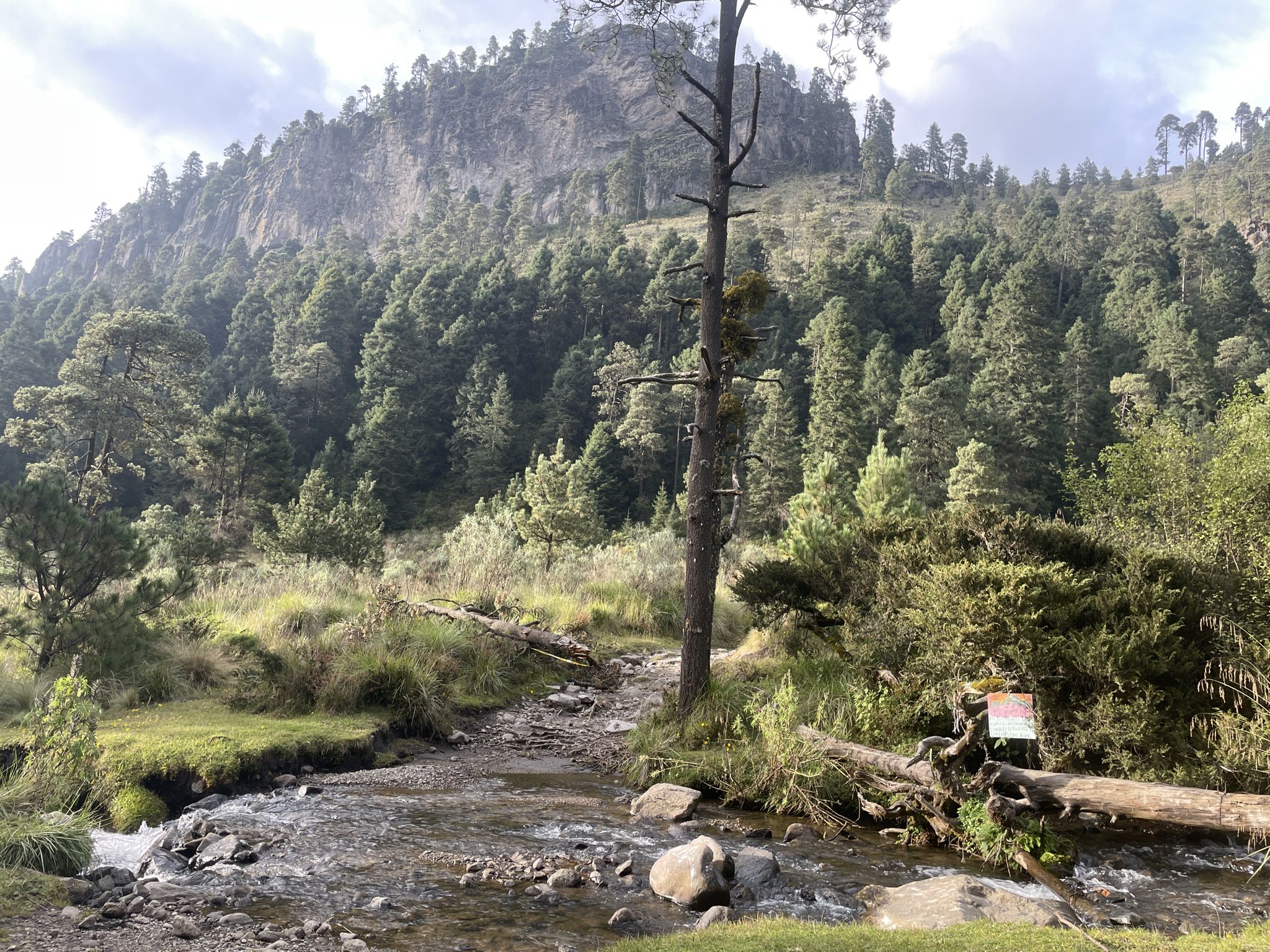 Arroyo