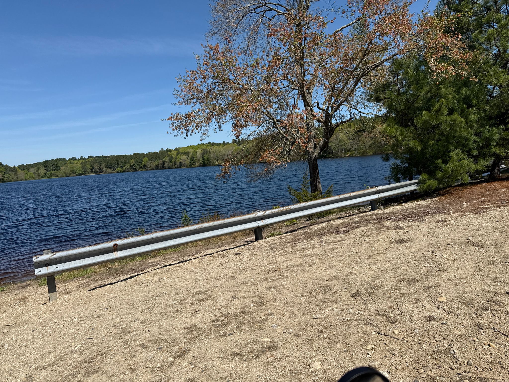 Sunny view of a wide blue lake with a metal guardrail and trees. - Trestle Trail – The Trestle Trail loop from Moosup Valley State Park Trail