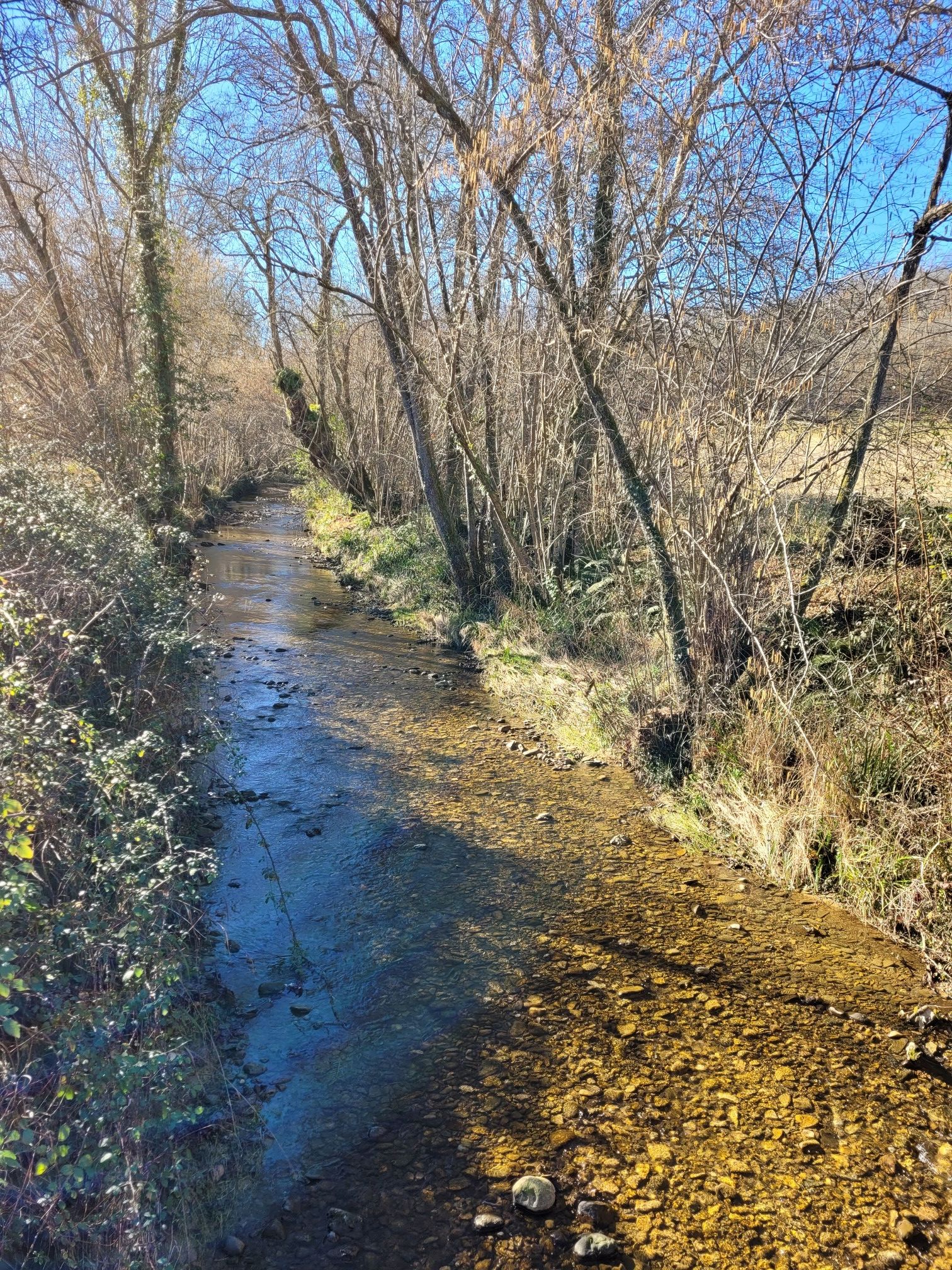 La Juscle.