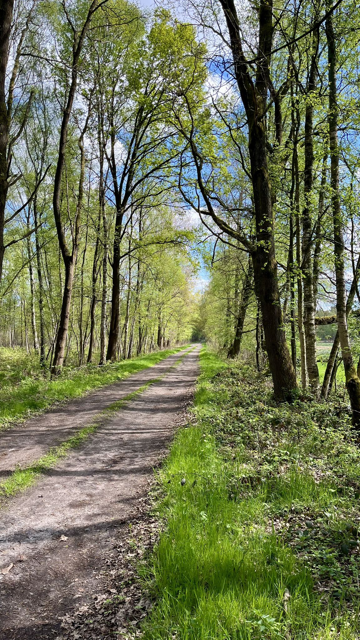 Weg ins Naturschutzgebiet „Großes Moor“