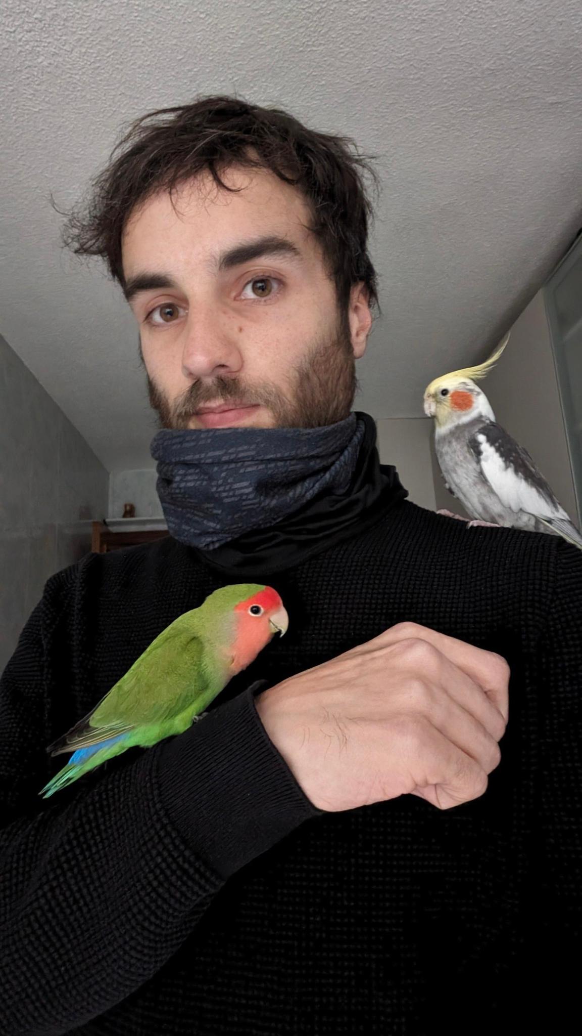 user avatar