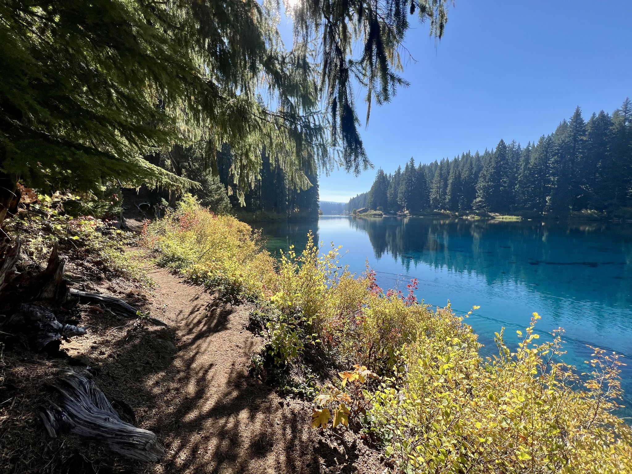 Sunny dirt path alongside a vibrant blue lake surrounded by green and yellow foliage. - Clear Lake Loop Trail