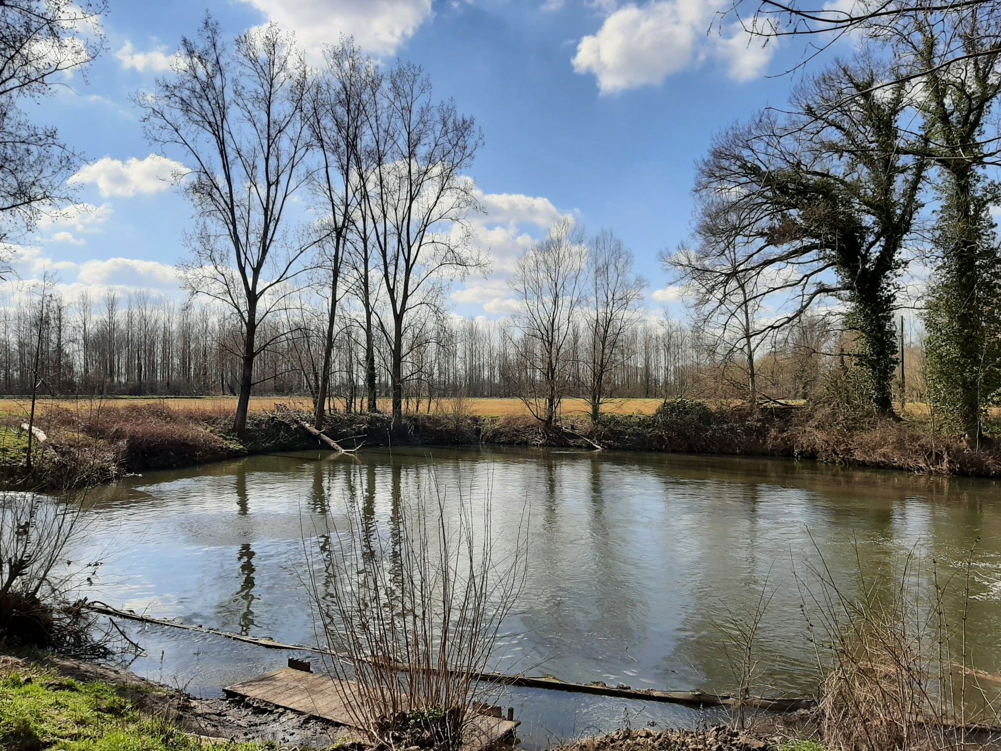 poel klein zwitserland