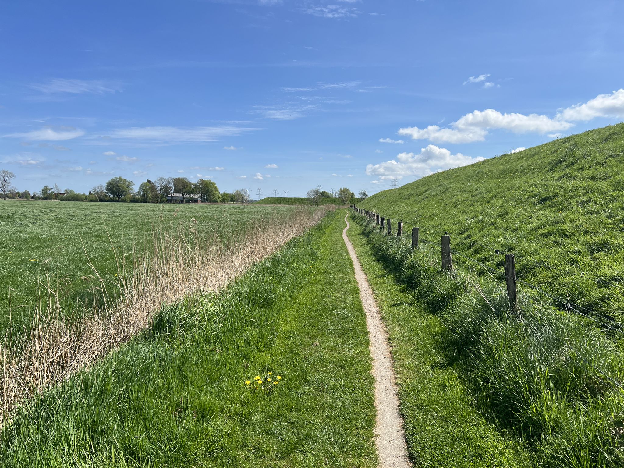 single trail